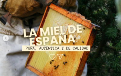 Nueva normativa de Calidad en el etiquetado de la miel