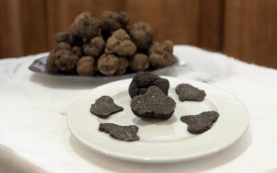 Ayudas de la DPH para el cultivo de la trufa negra