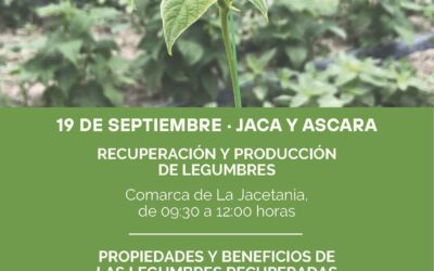 I Jornadas sobre legumbres singulares de Aragón. GO PROLEGARA, 19 Septiembre