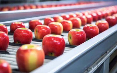 Ayudas para Industrias Agroalimentarias de Gobierno de Aragón para transformación, comercialización y desarrollo
