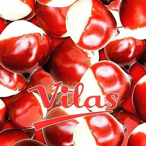 Vilas