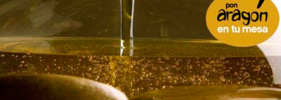 Sesión de Cata aceite de oliva Virgen Extra D.O. Bajo Aragón en  Torrecilla de Alcañiz