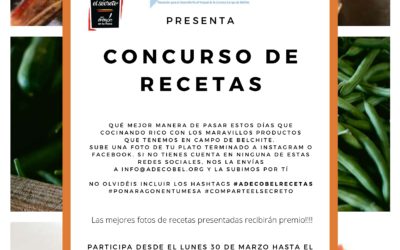 Concurso de Recetas Campo de Belchite