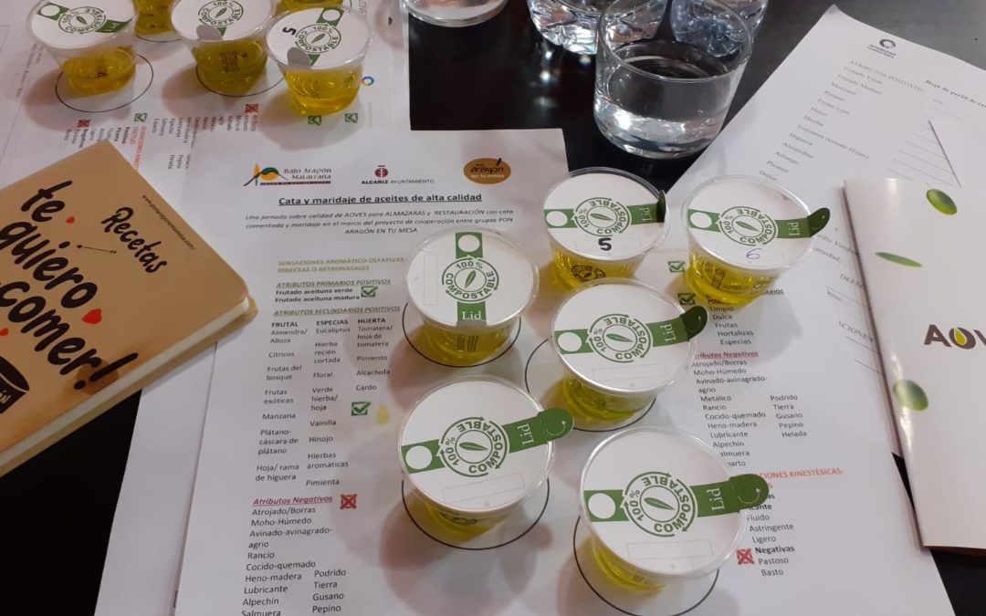 Cata profesional de Aceites del Bajo Aragón y Matarraña- Alcañiz 5 de Julio-