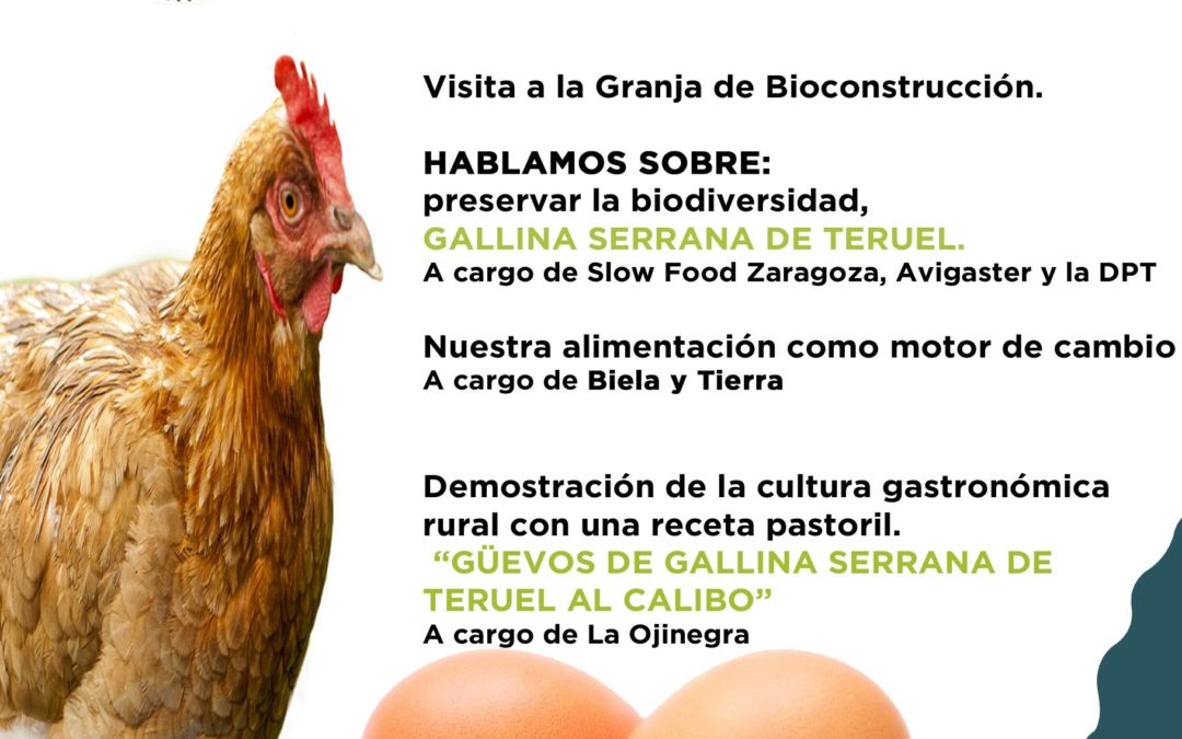 Nueva agroexperiencia en Villel, Huevos La Brizna, Mercado Local y Agroecológico Norte Teruel