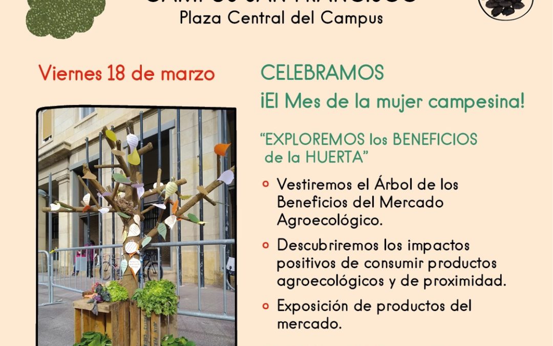 Mercado en el Campus Universitario en Zaragoza viernes 18 de Marzo