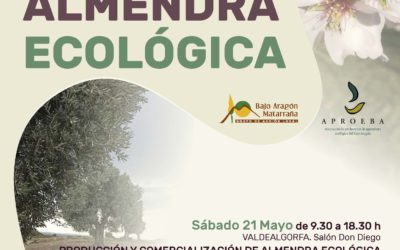 Producción y comercialización almendra ecológica- 21 de Mayo en Valdealgorfa