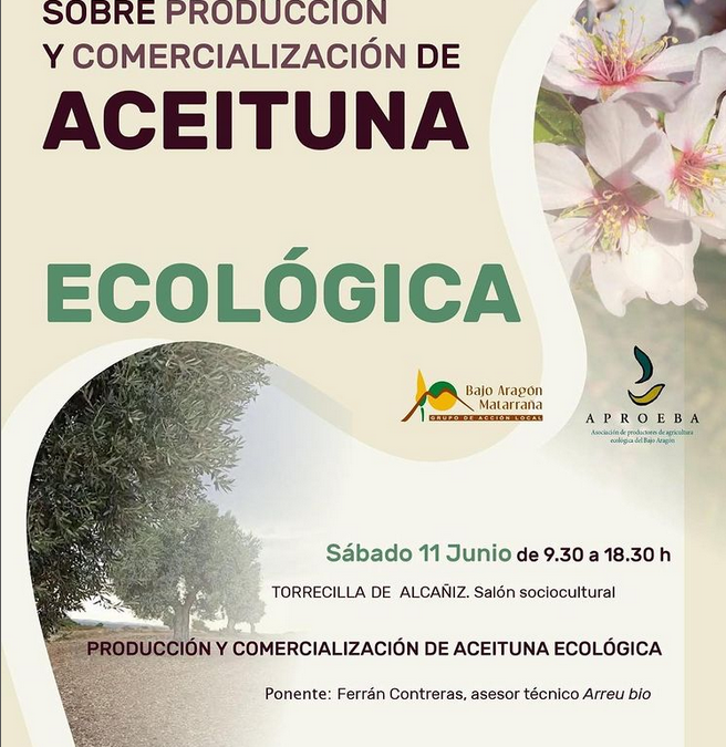 Producción y comercialización de olivar ecológico- 11 de Junio en Torrecilla de Alcañiz