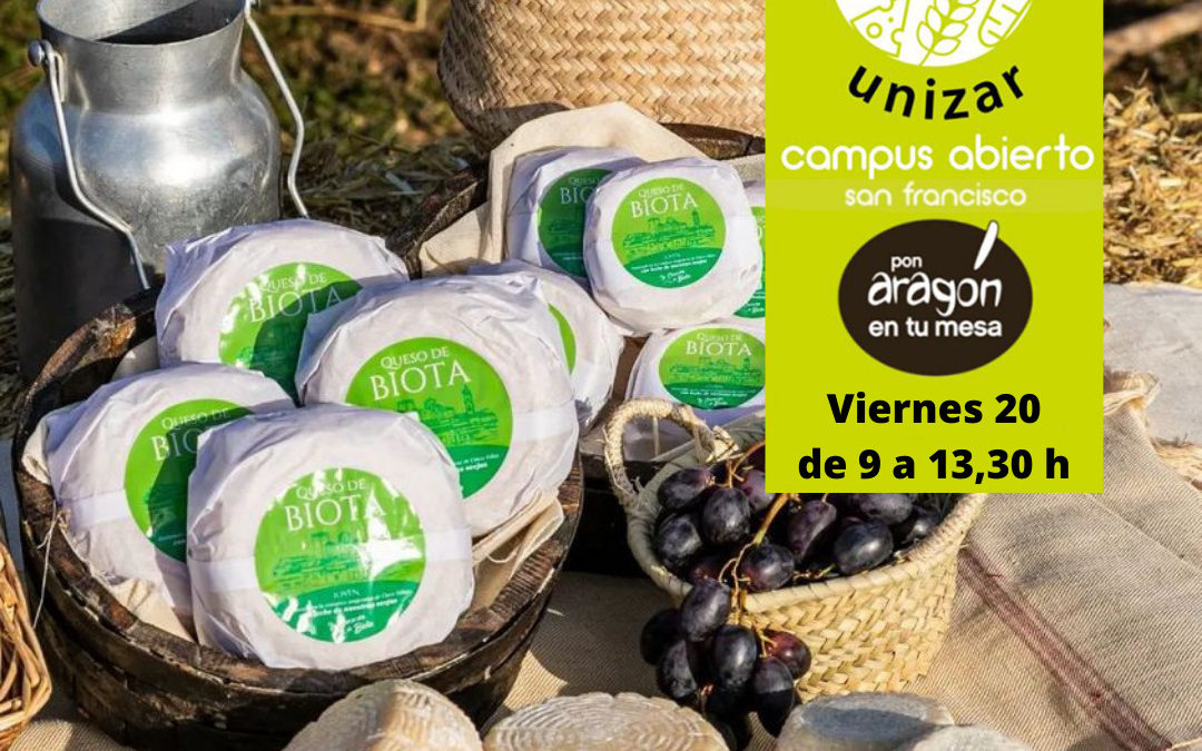 Mercado en el Campus Universitario en Zaragoza viernes 20 de Mayo