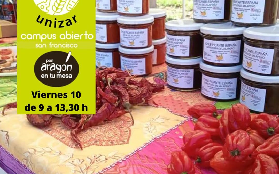Mercado en el Campus Universitario en Zaragoza viernes 10 de Junio