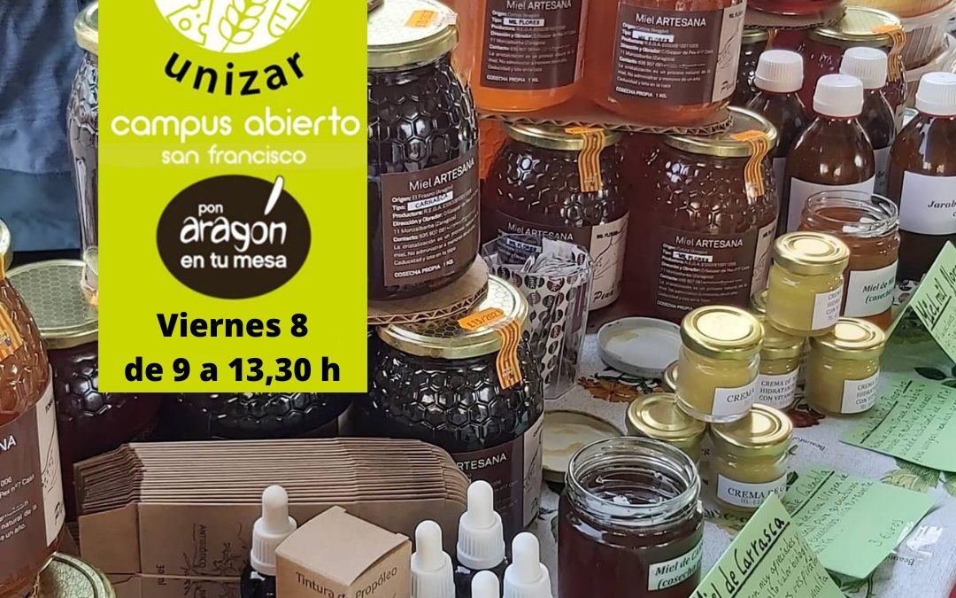 Mercado en el Campus Universitario en Zaragoza viernes 8 de Julio