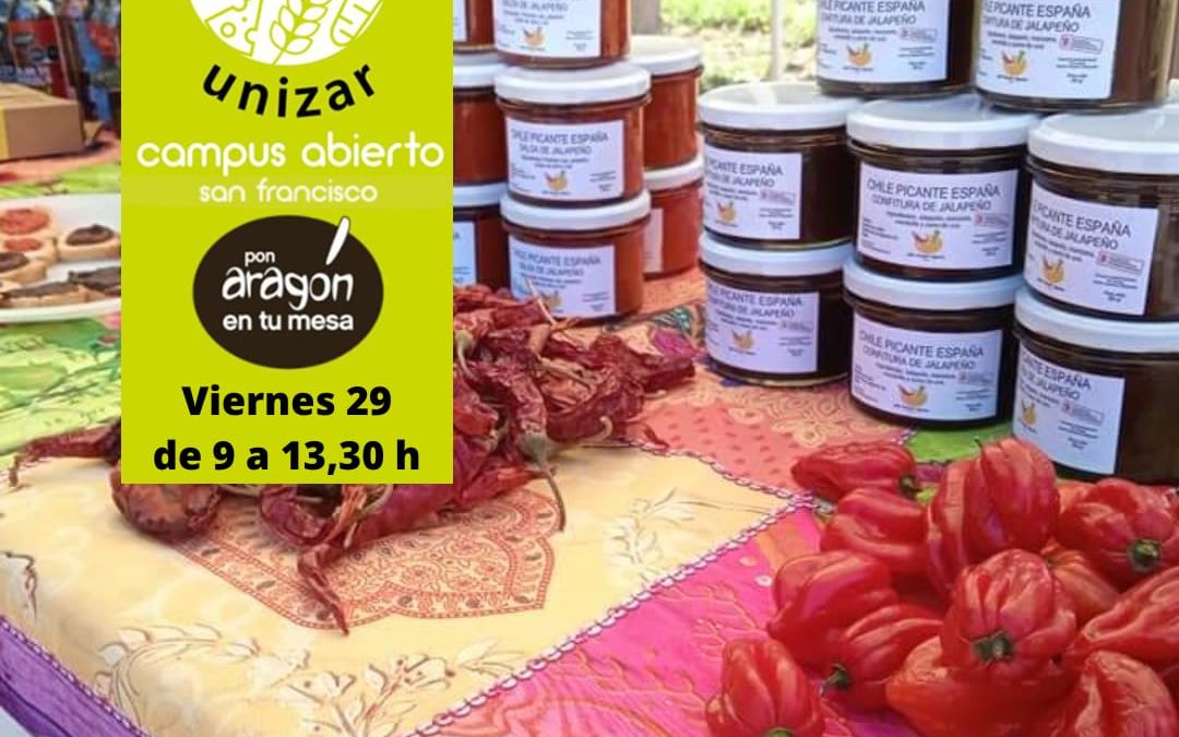 Mercado en el Campus Universitario en Zaragoza viernes 29 de Julio
