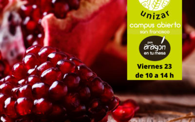 Mercado en el Campus Universitario en Zaragoza viernes 23 de septiembre