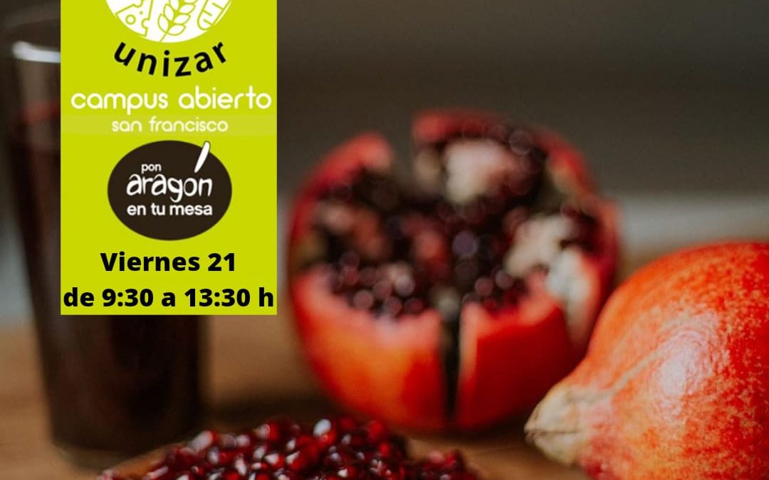 Mercado en el Campus Universitario en Zaragoza viernes 21 de Octubre