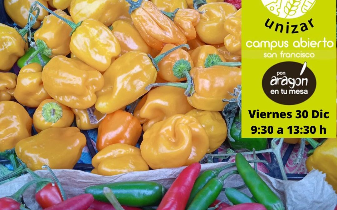 Mercado en el Campus Universitario en Zaragoza viernes 30 de diciembre