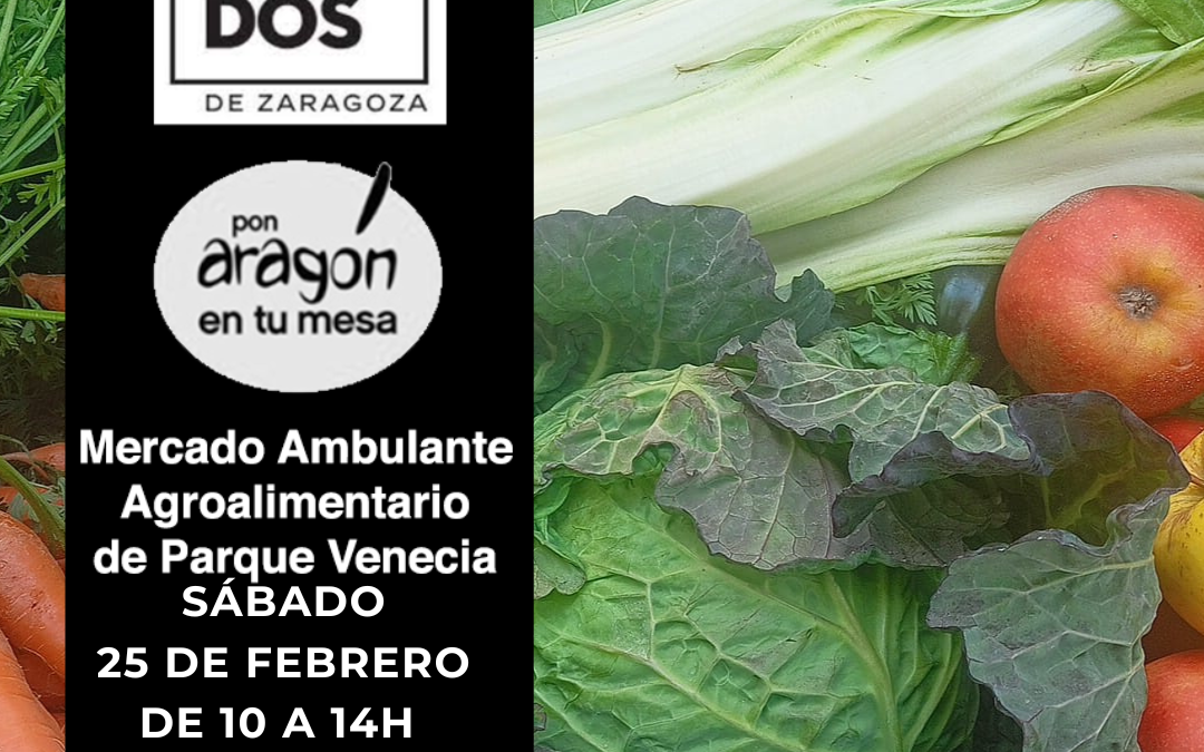 Mercado de la Plaza Marco Polo en Parque Venecia sábado 25 de Febrero