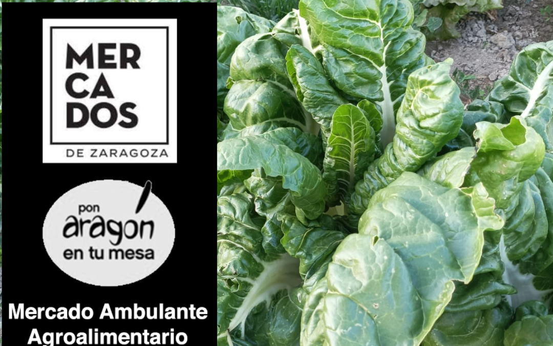 Mercado de la Plaza Marco Polo en Parque Venecia sábado 22 abril