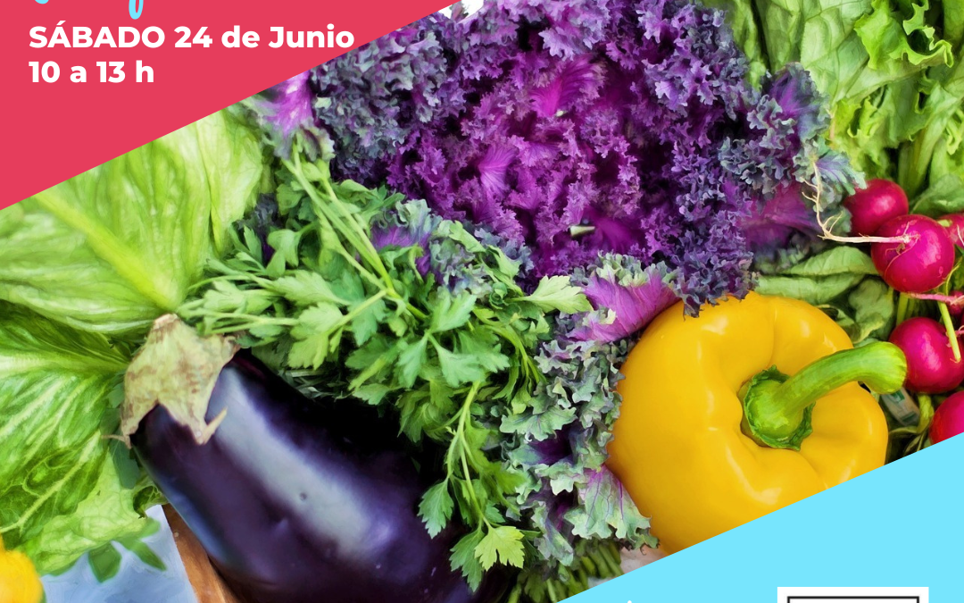Mercado de la Plaza Marco Polo en Parque Venecia sábado 24 de Junio, 10 a 13h y fiestas barrio