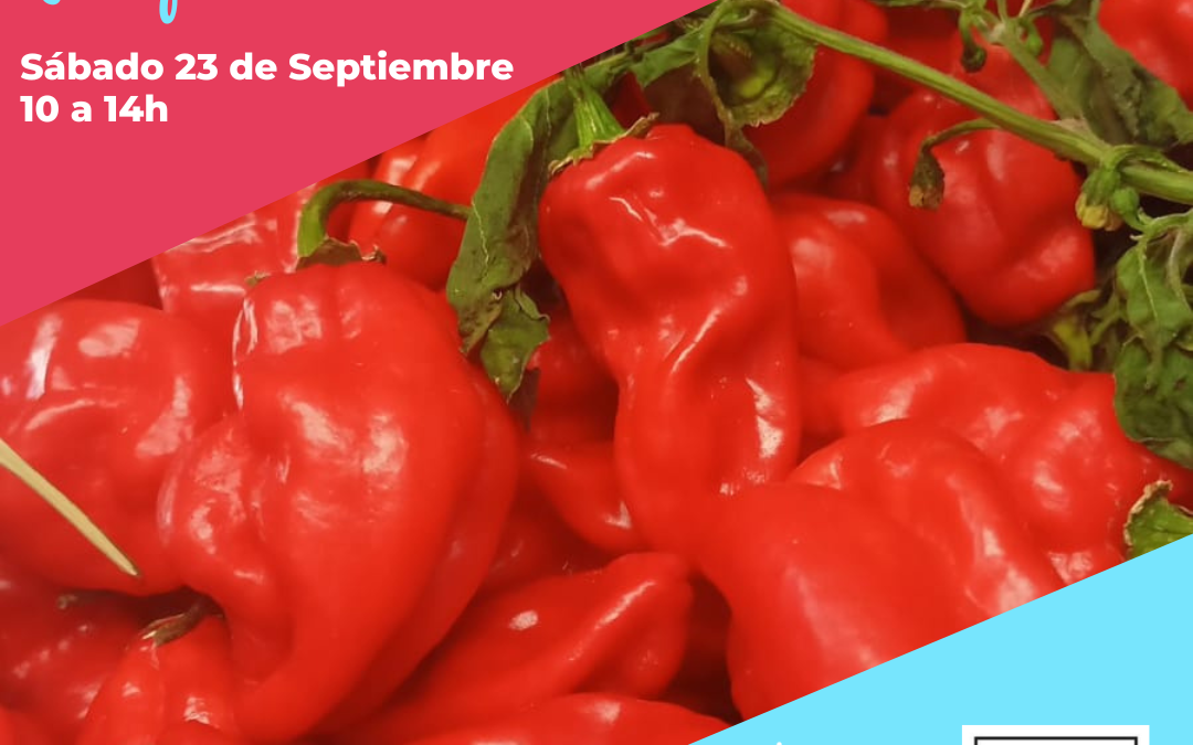 El Mercado de la Plaza Marco Polo en Parque Venecia sábado 23 de septiembre de 10 a 14h