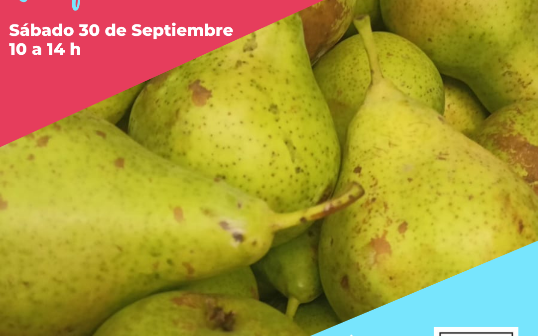 El Mercado de la Plaza Marco Polo en Parque Venecia sábado 30 de septiembre de 10 a 14h