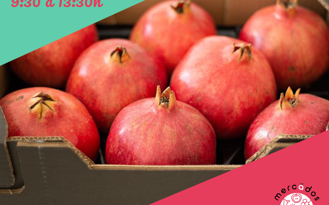 Mercado del Campus Universitario de Zaragoza, compra y celebra el día de la parada cardíaca