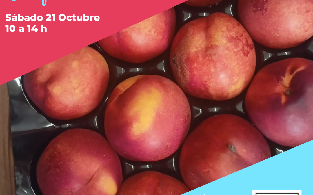 El Mercado de la Plaza Marco Polo en Parque Venecia sábado 21 Octubre-