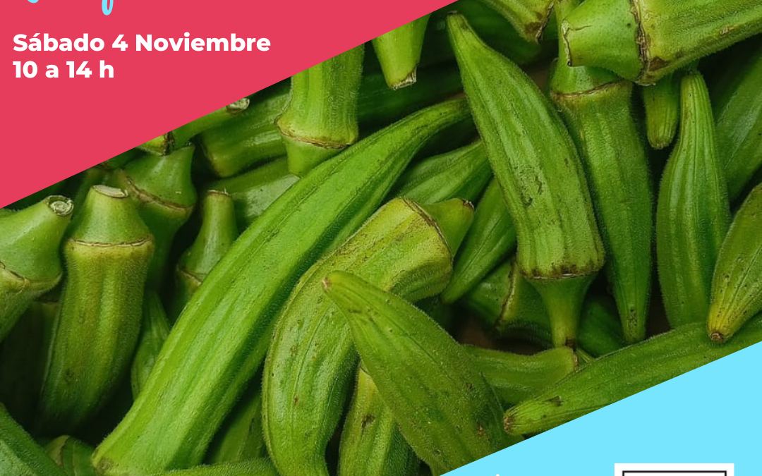El Mercado de la Plaza Marco Polo en Parque Venecia sábado 4 noviembre
