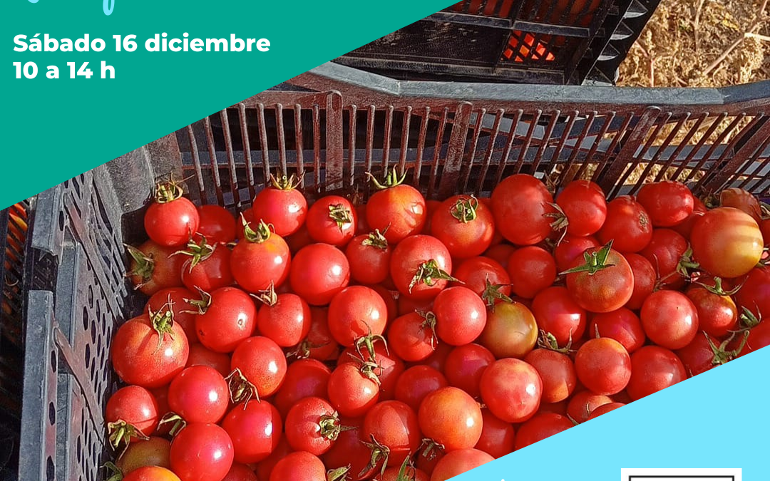 El Mercado de la Plaza Marco Polo en Parque Venecia sábado 16 de diciembre