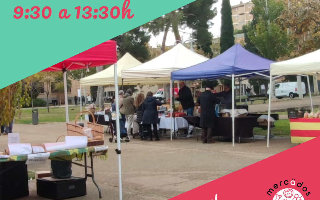 Mercado del Campus Universitario de Zaragoza, 29 diciembre viernes