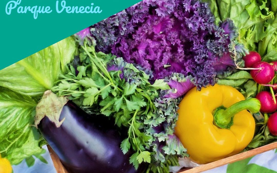 El Mercado de la Plaza Marco Polo en Parque Venecia sábado 6 abril