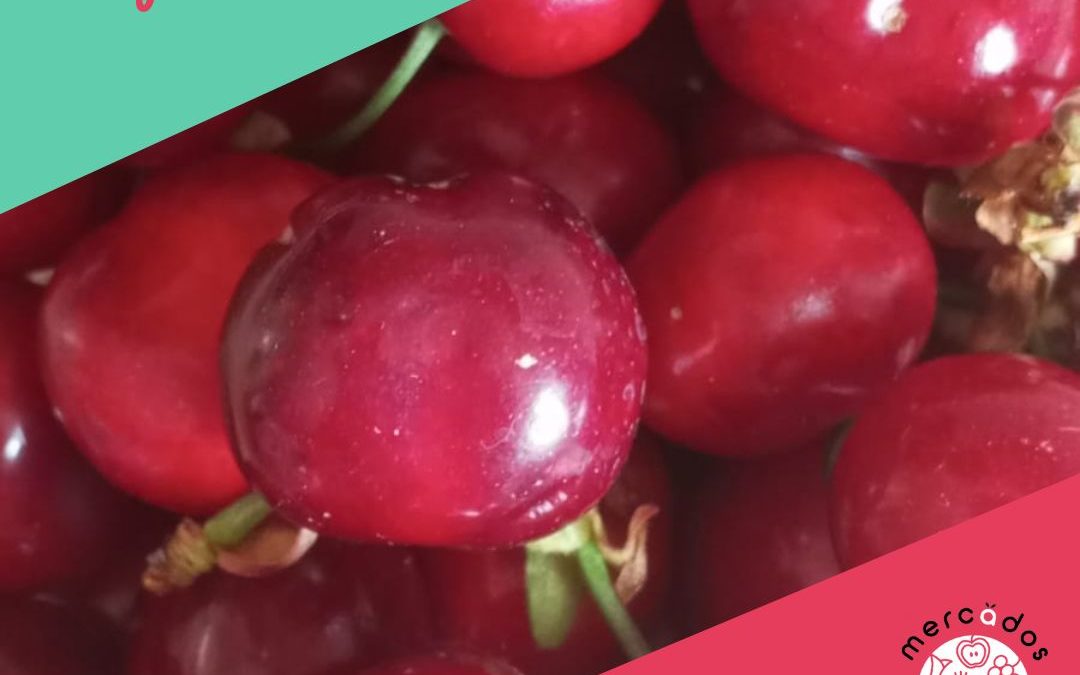 Mercado del Campus Universitario de Zaragoza, 10 mayo viernes-Productos locales y de temporada