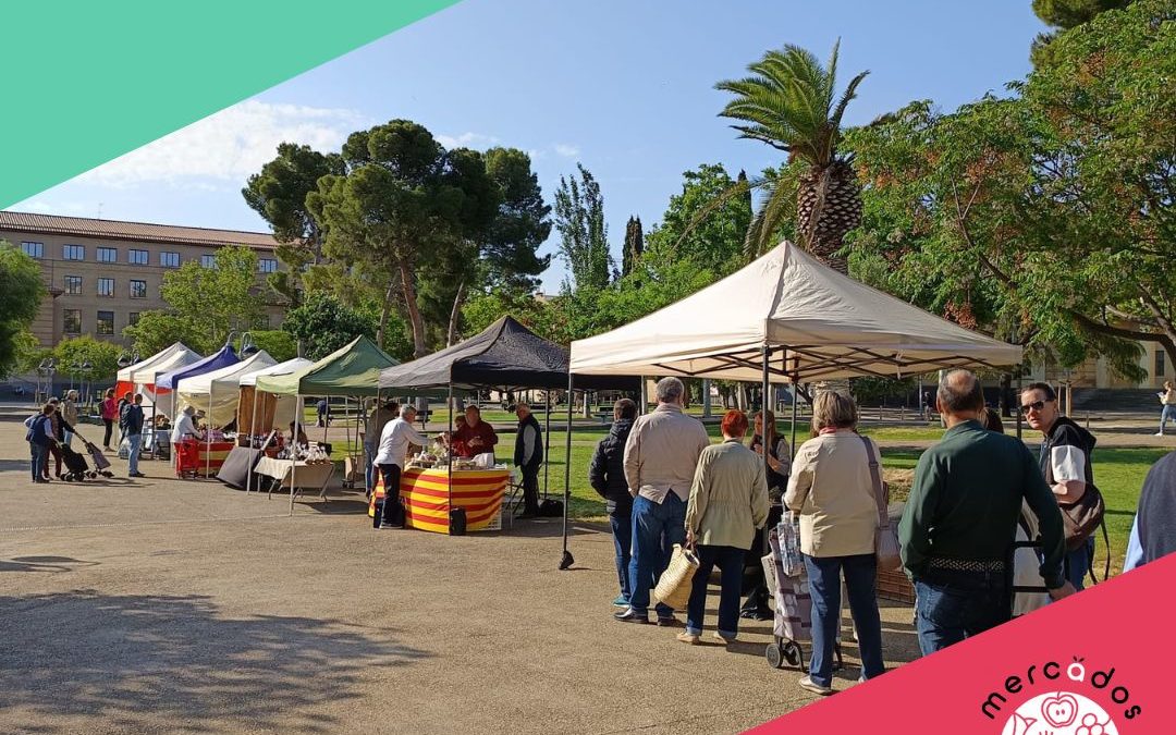 Mercado del Campus Universitario de Zaragoza, 31 mayo viernes-Compra y celebra el día mundial sin tabaco, actividades para todos