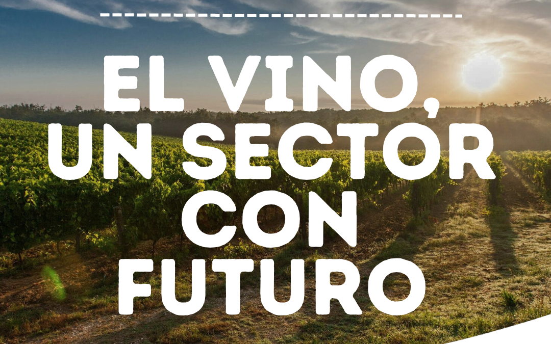 Formación especializada en vino y aceite en Cariñena