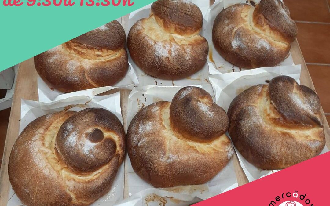 Mercado del Campus Universitario de Zaragoza, 13 septiembre viernes, vuelve la plena actividad y en el horario y ubicación habitual