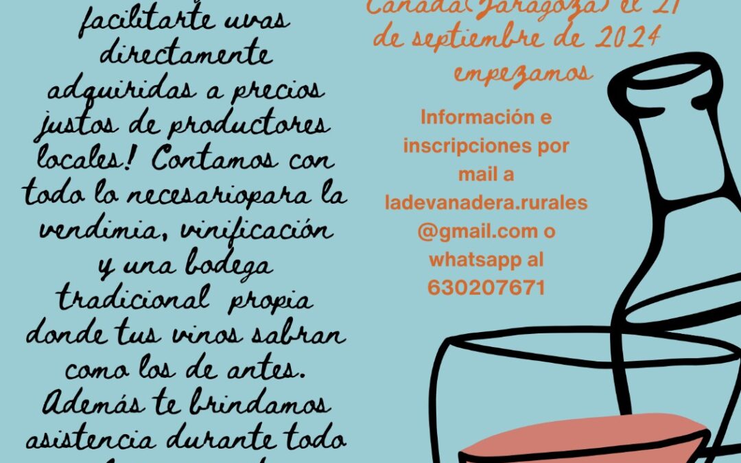 ¿Quieres hacer tu propio vino?