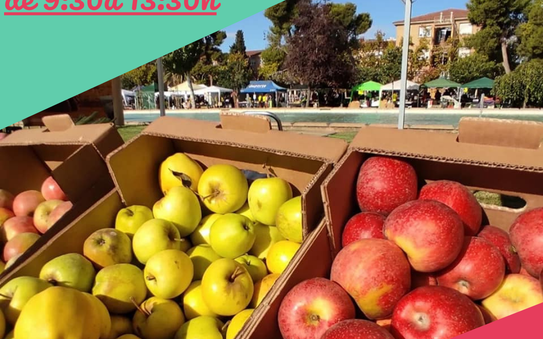 Mercado en el Campus Universitario de Zaragoza, 29 de Noviembre