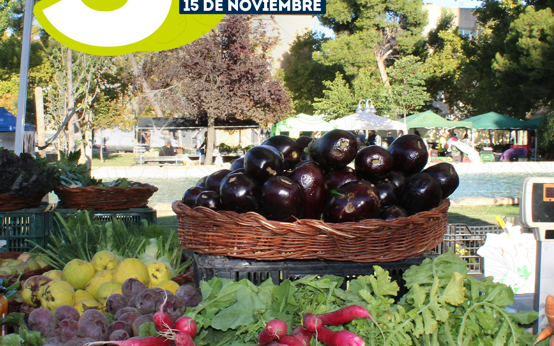 Estamos de aniversario en el Mercado en el Campus Universitario de Zaragoza, 15 de Noviembre