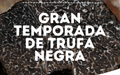 La Temporada de Trufa en el Territorio Adri Teruel: Un Manjar en el Corazón de Aragón
