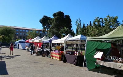 Mercado en el Campus Universitario de Zaragoza, 27diciembre, no faltamos, ¿y tú?