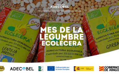Celebramos el mes de las legumbres con Ecolécera