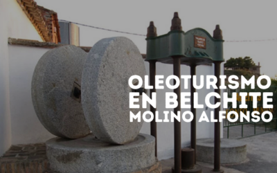 Visita Molino Alfonso y sus olivares: el corazón del aceite en el Campo de Belchite