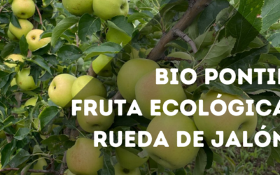Bio Pontil, fruteros ecológicos