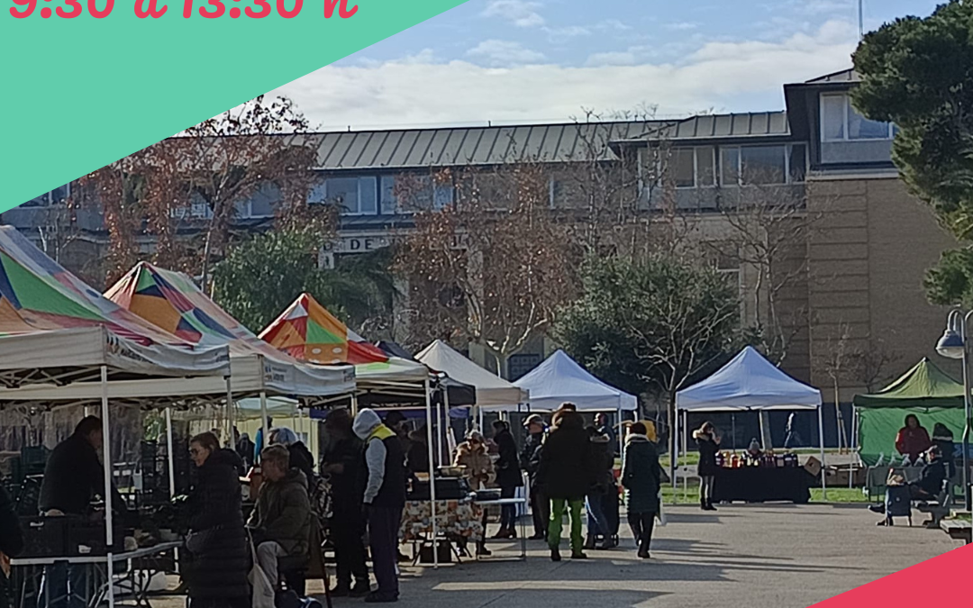 Mercado en el Campus Universitario de Zaragoza, 24 enero, consume local y ecológico