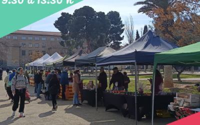 7 Marzo, estamos de celebración en el Mercado en el Campus Universitario de Zaragoza, múltiples actividades y compras