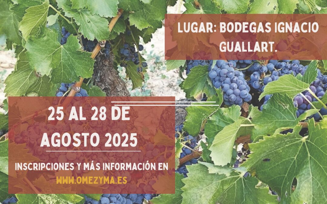 Elaboración de Vino Casero y ecológico, del 25 al 28 Agosto en Alcañiz
