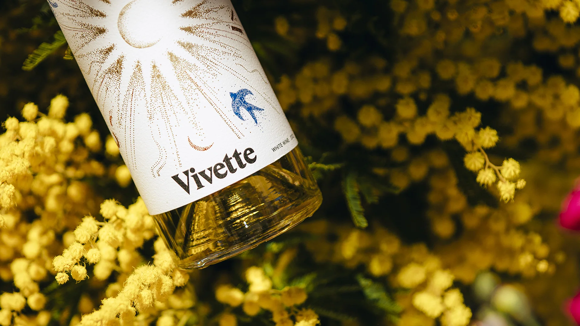 LEO NINE Vivette