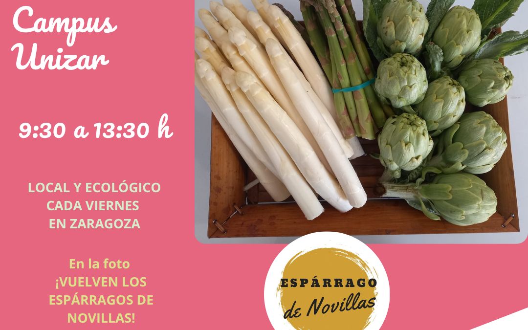Mercado Unizar Viernes 27 Marzo, ¡vuelven los espárragos! ya es primavera en el Campus