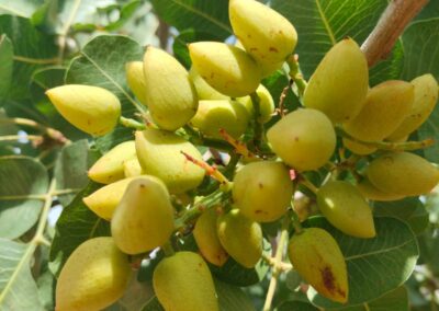 WhatsApp Image 2026-06-20 at 11.54.58