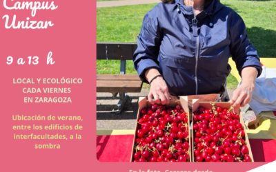 Mercado Unizar Viernes 12 de Junio, nos acercamos a fin de curso ¡Fiesta de verano!