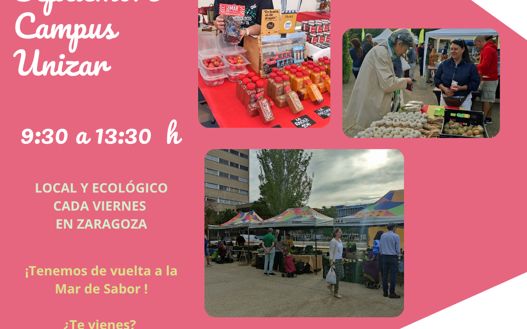 Mercado Unizar Viernes 25 septiembre, tu compra local y ecológica